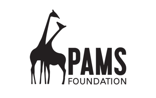 540X339 SPONSOR PAMS FOUNDATION
