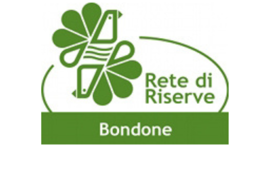 540X339 SPONSOR RETE RISERVE BONDONE