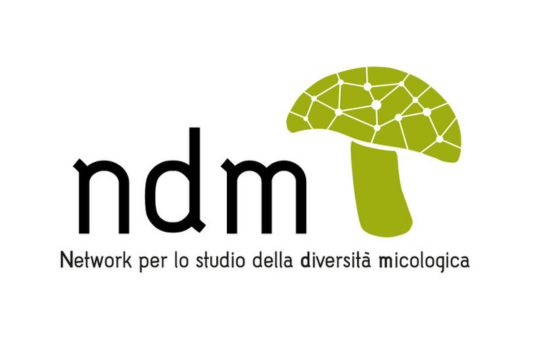 540X339 SPONSOR NDM