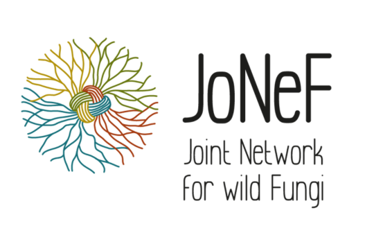 540X339 SPONSOR  JONET