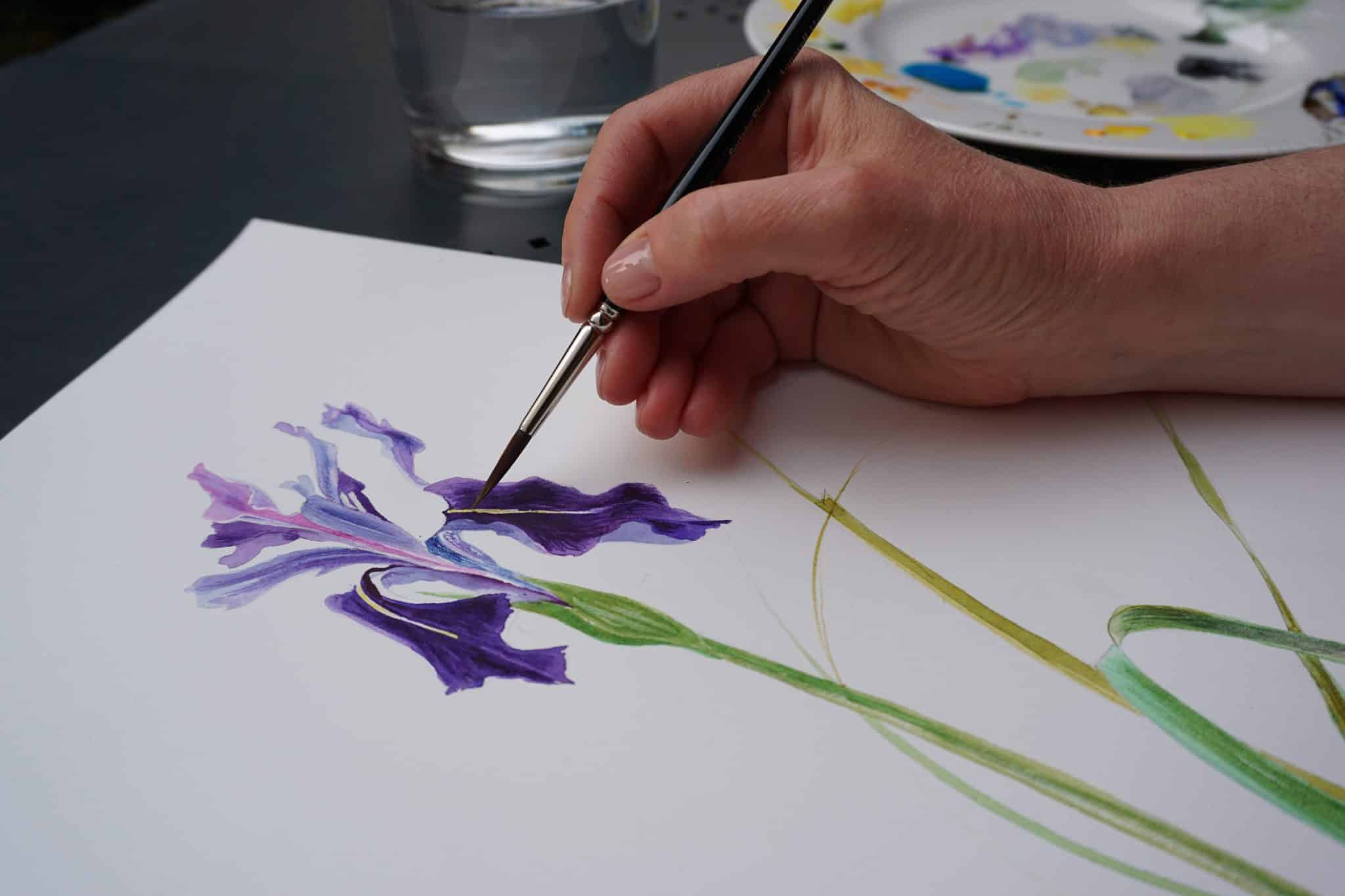 Iris chrysographes mano che dipinge con tavolozza