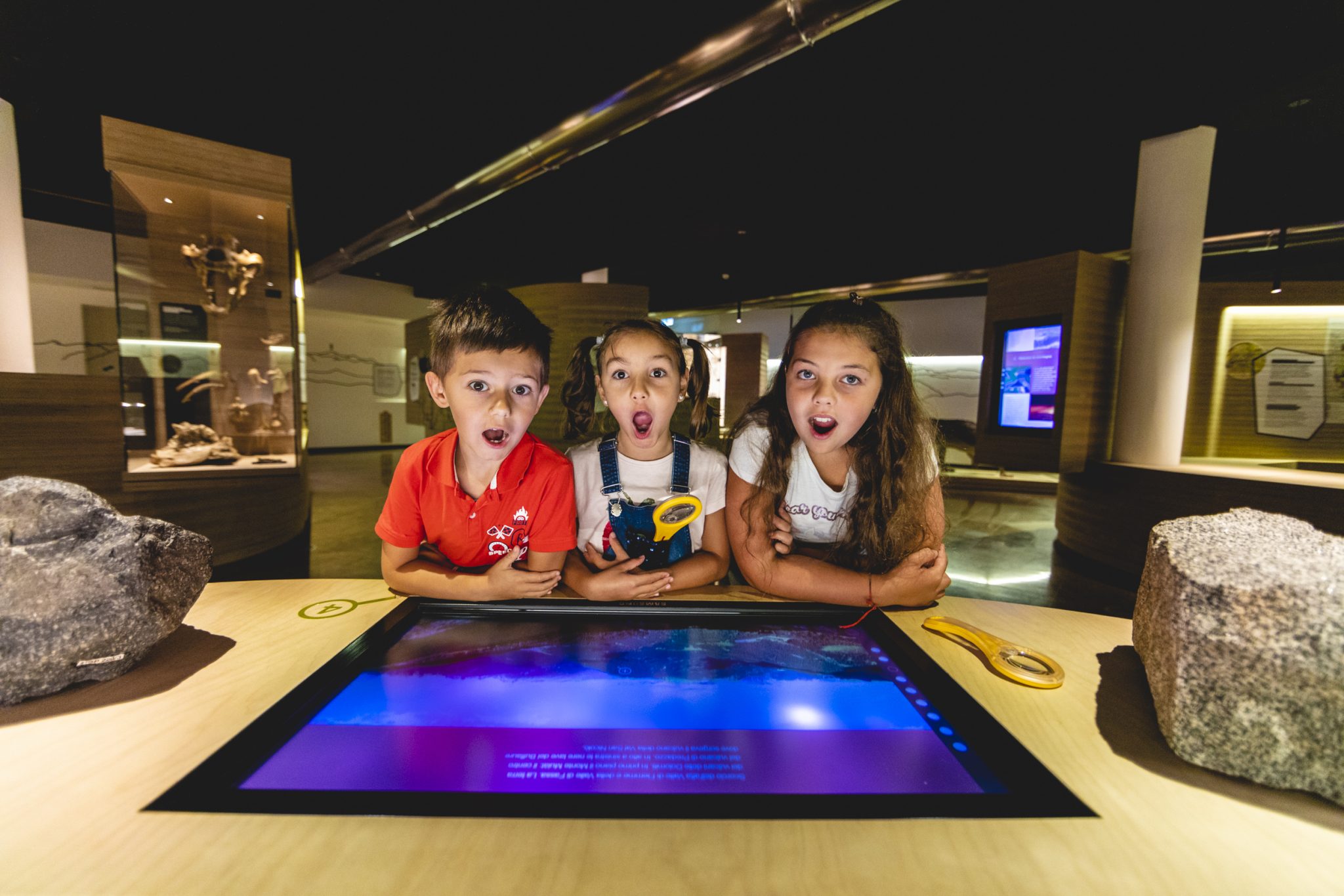 Muse_MuseoGeologicoPredazzo23_MichelePurin_Web_33