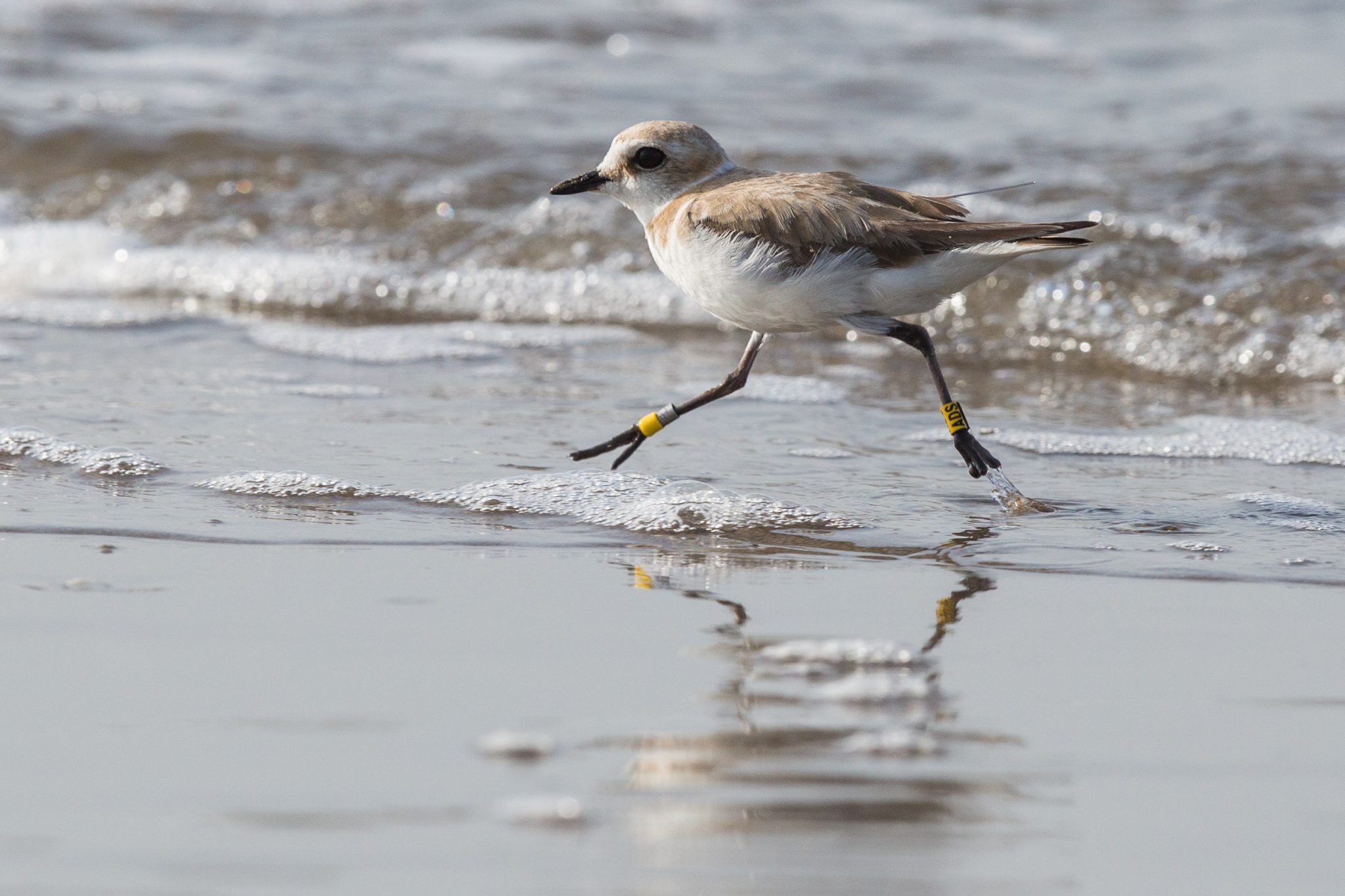 12062019-MB__2794 (Marco Basso))