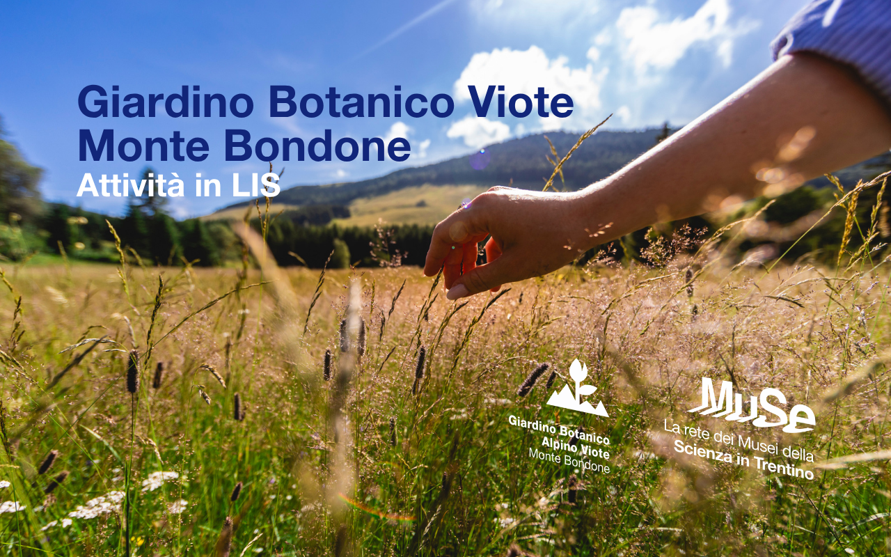 Giardino Botanico Alpino