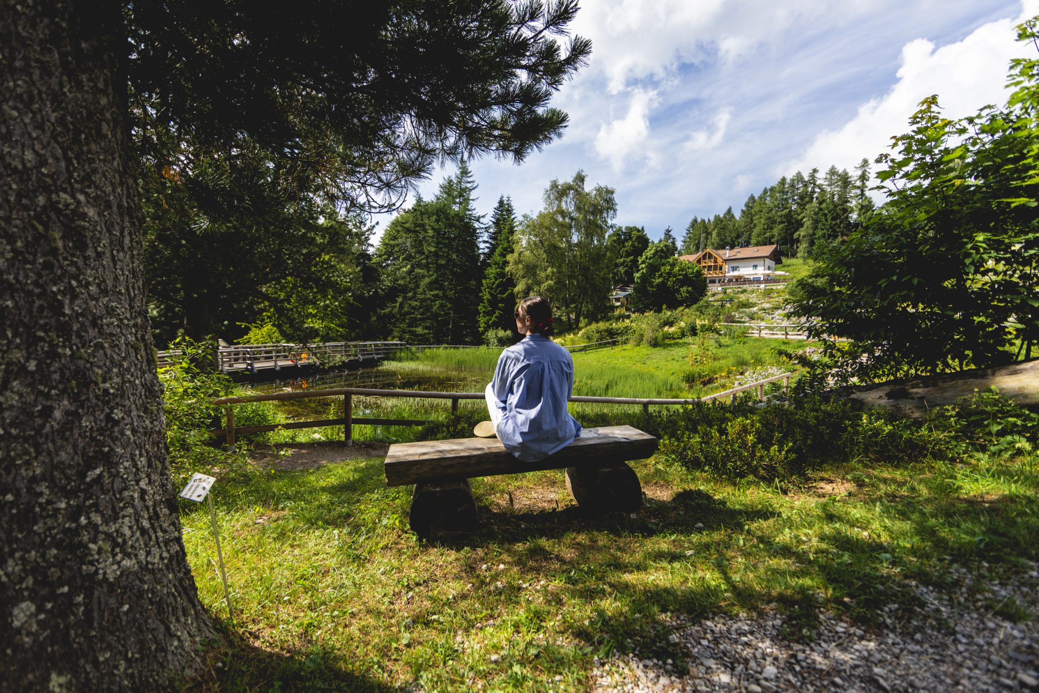 Muse_GiardinoBotanicoViote_PasseggiataTraLeStelle_MichelePurin_Web_32 1