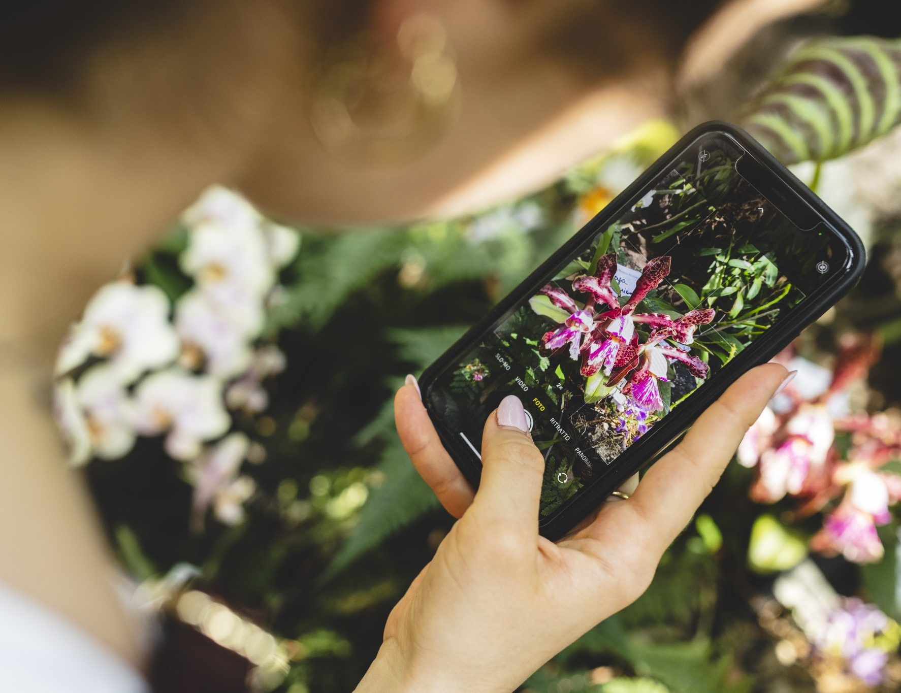 Muse_Orchidarium_2022_MichelePurin_HD_53