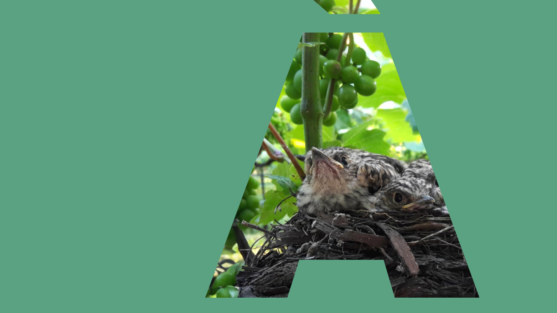 01 Terra Aria Acqua pulito