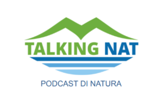 _540X339 SPONSOR - 2024-06-07T142436.200