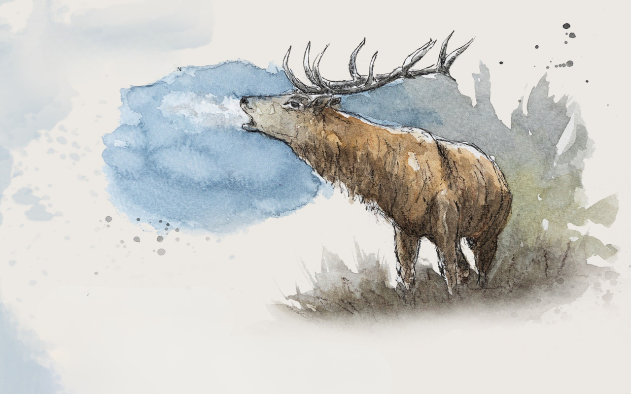 Copia di 1280x800 (4)