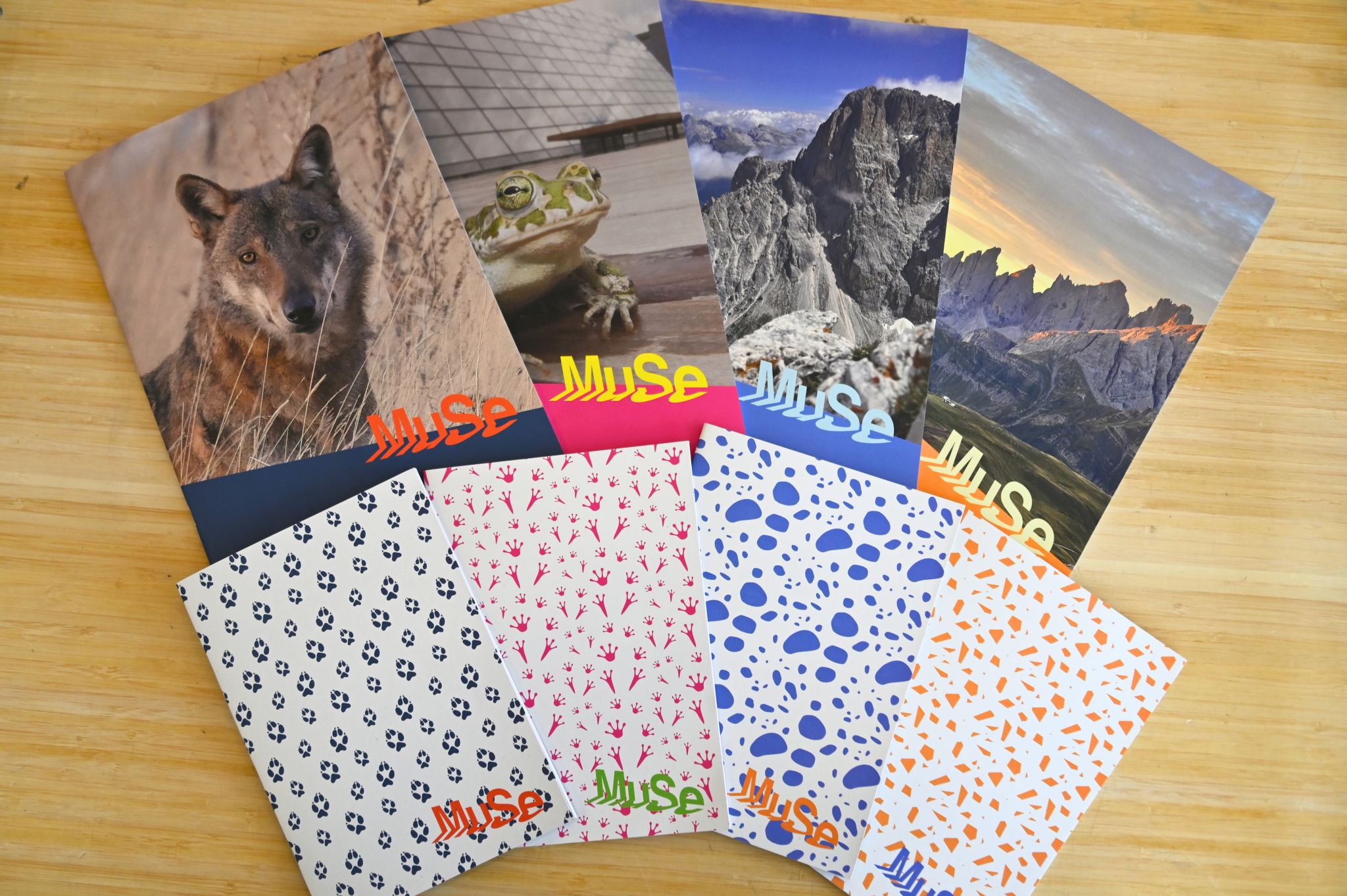 MODIFICA FOTO orizzontali