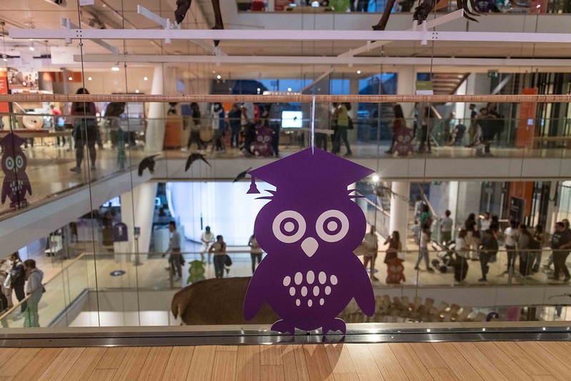 53228630538_99a060239b_c