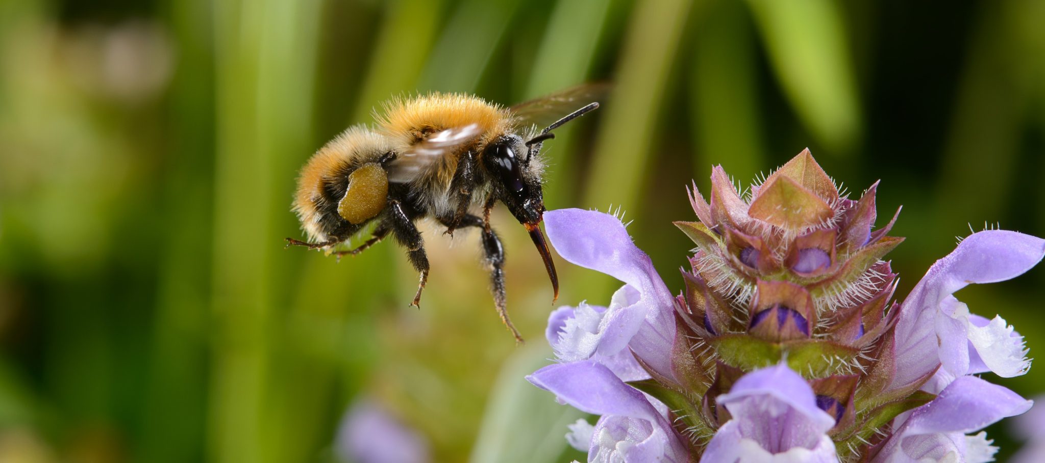 lm200624-0657_6mpx (1)