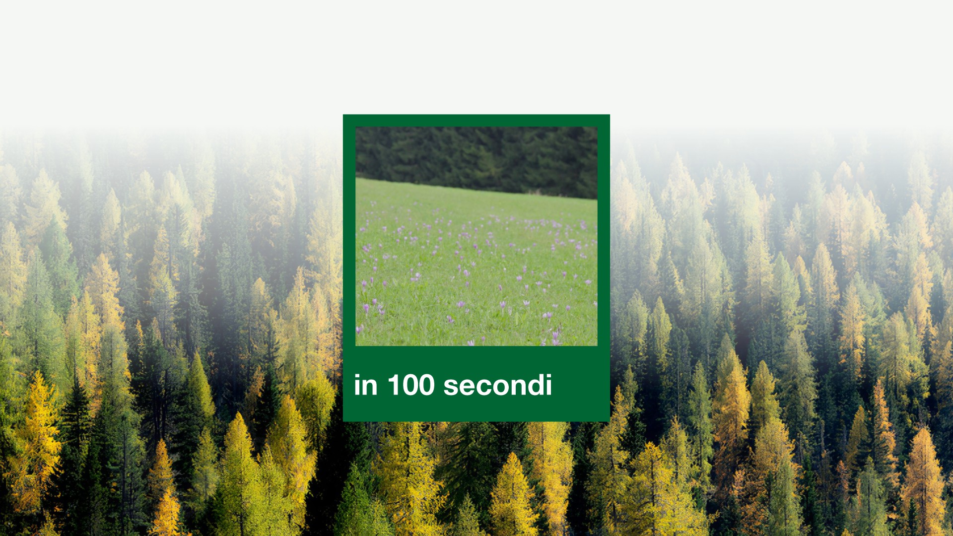 26 Adattamenti_ In 100 secondi