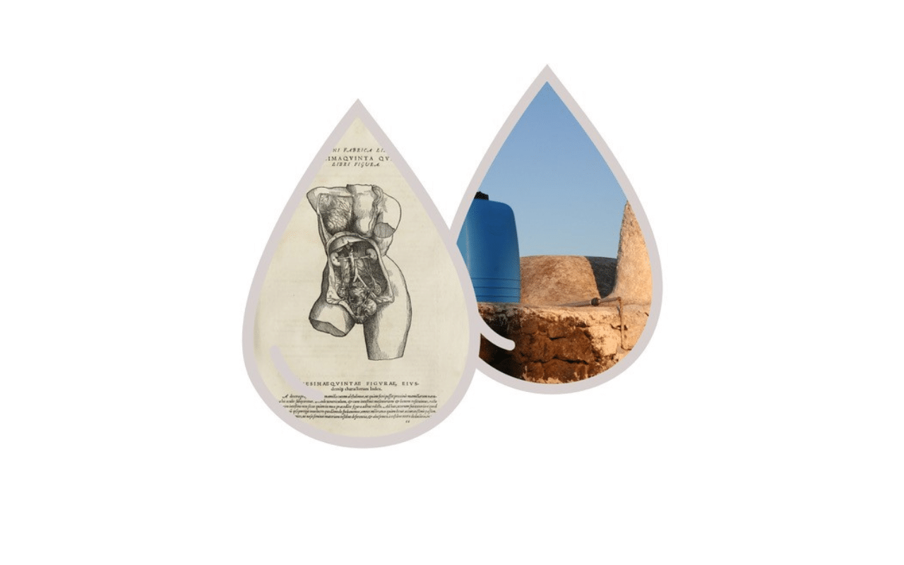 Copia di 1280x800 (25)