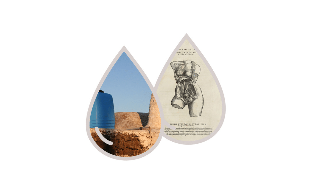 Copia di 1280x800 (27)