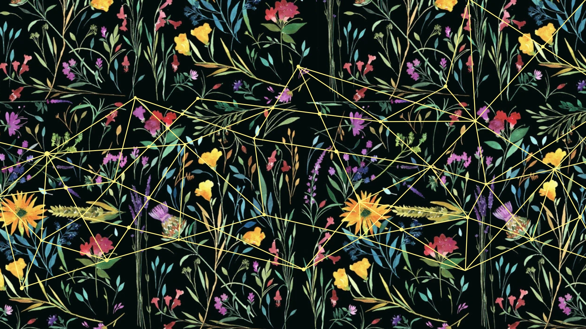 02 Flora Diva Pulito