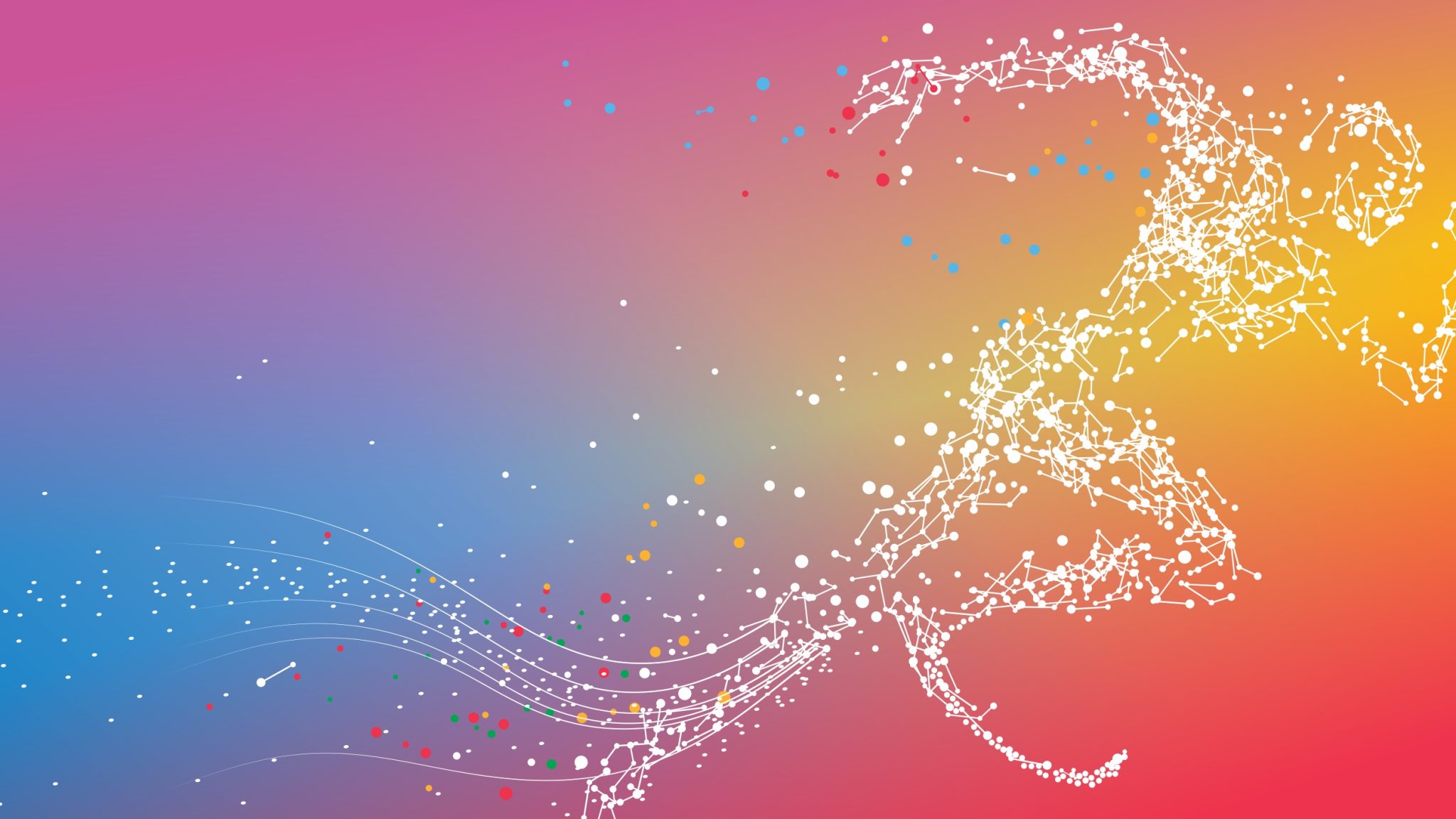 27 Palestra Olimpica pulita