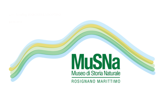 Copia di 540X339 SPONSOR - 2025-11-17T163019.529