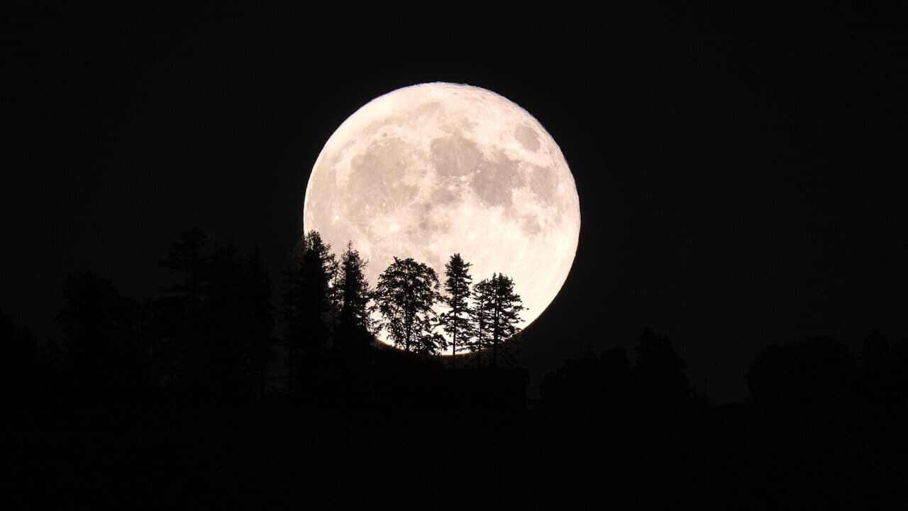 Luna piena (di alberi) 2-2-2