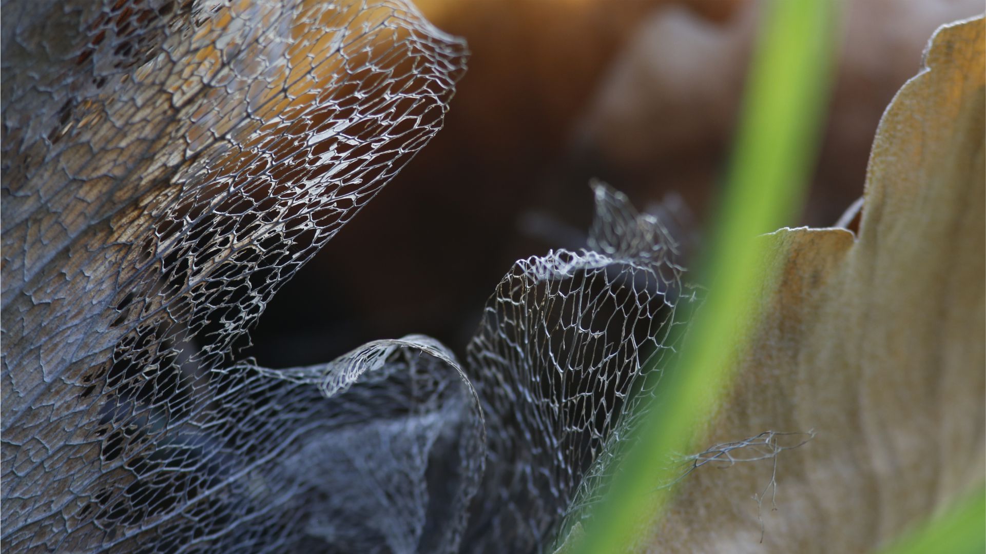 Raccontare l'Antropocene visual pulito