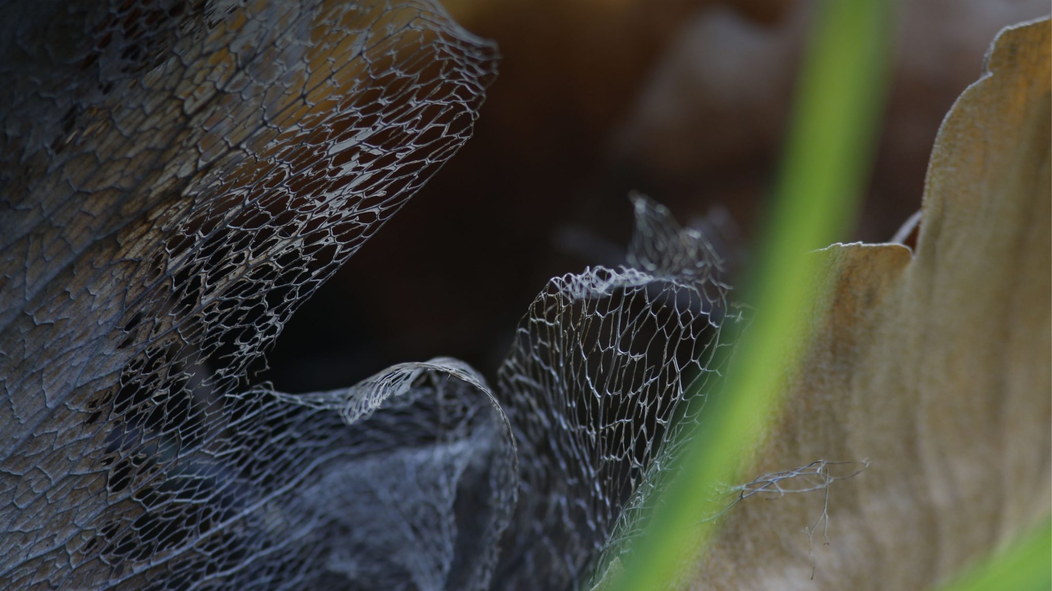 Raccontare l'Antropocene visual pulito