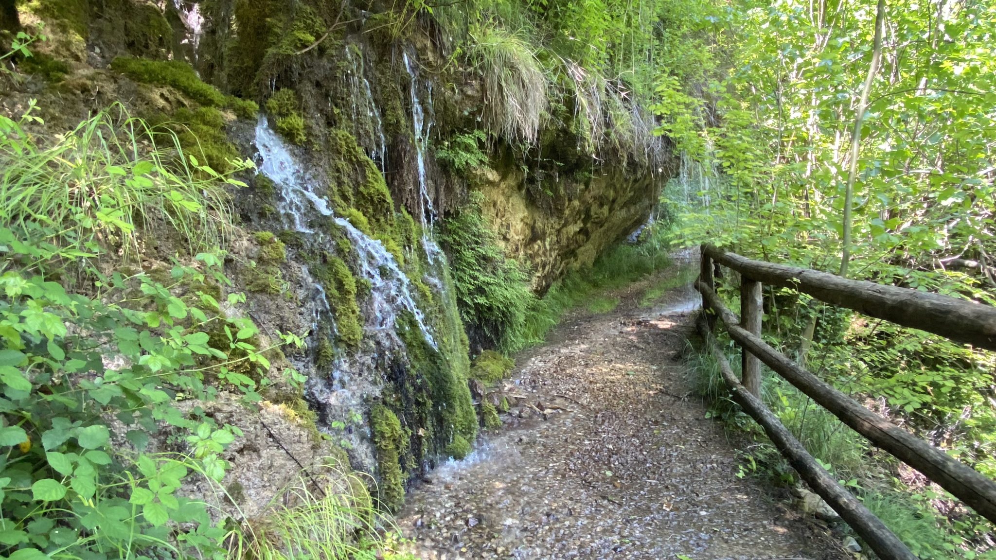 cover podcast il sentiero dell'acqua