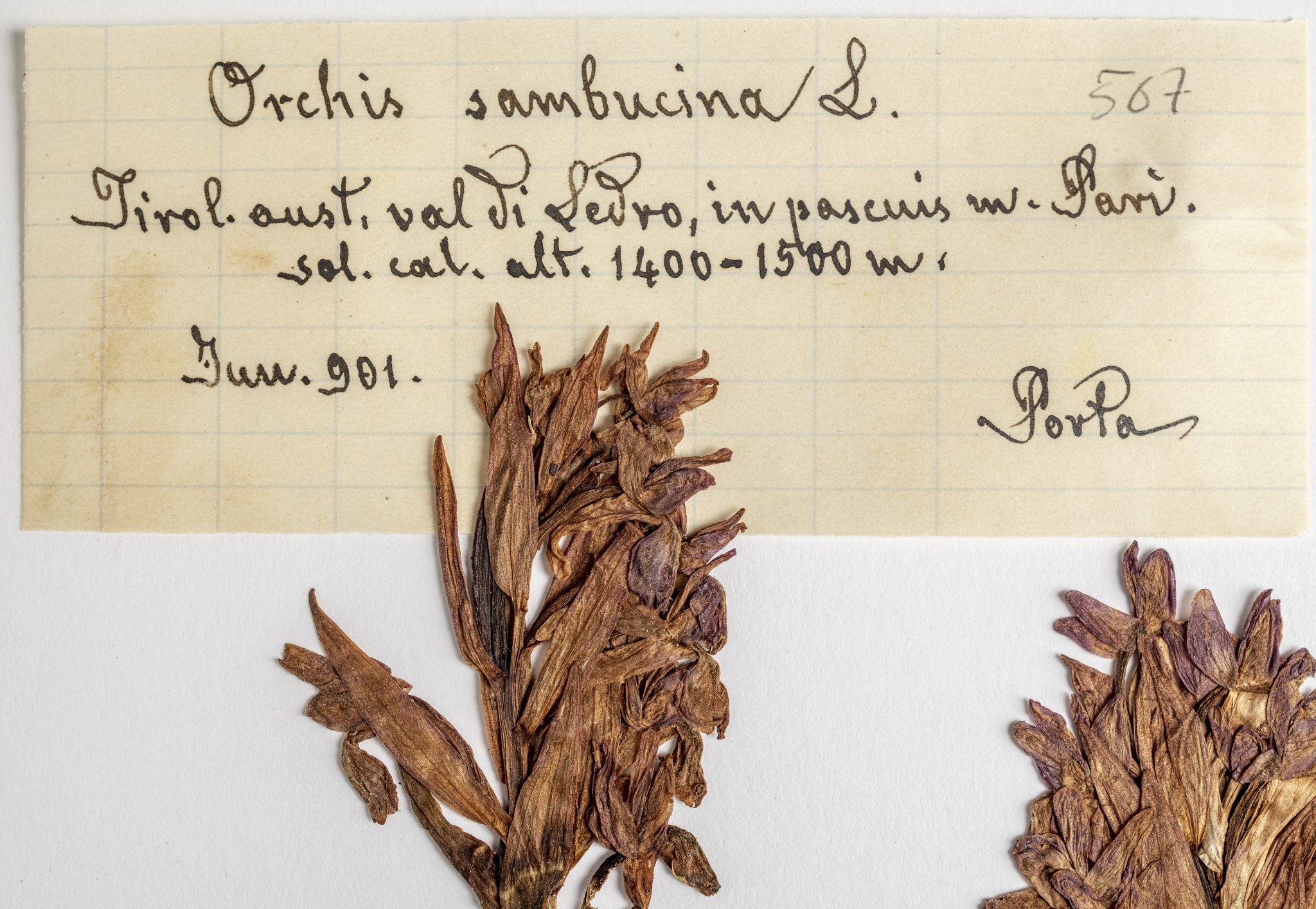 16_TR-BOT 041632_DSC0207