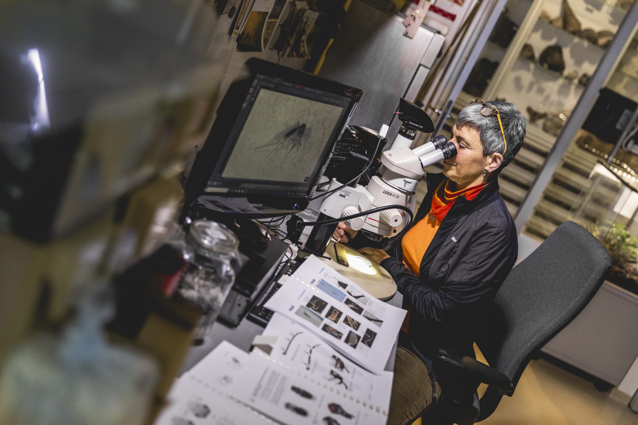 Citizen Science Fair, l’evento internazionale dove la scienza incontra la comunità