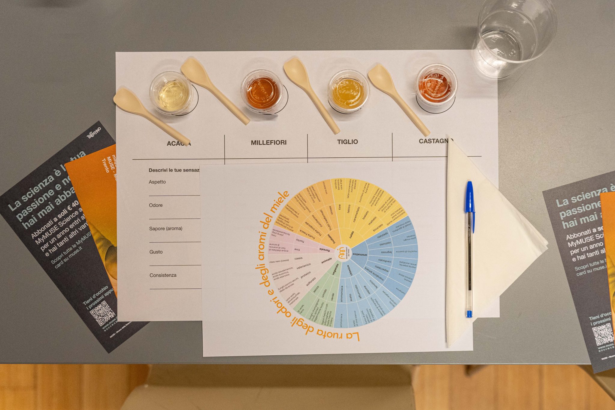 Oltre la dolcezza. Assaggio multisensoriale di miele