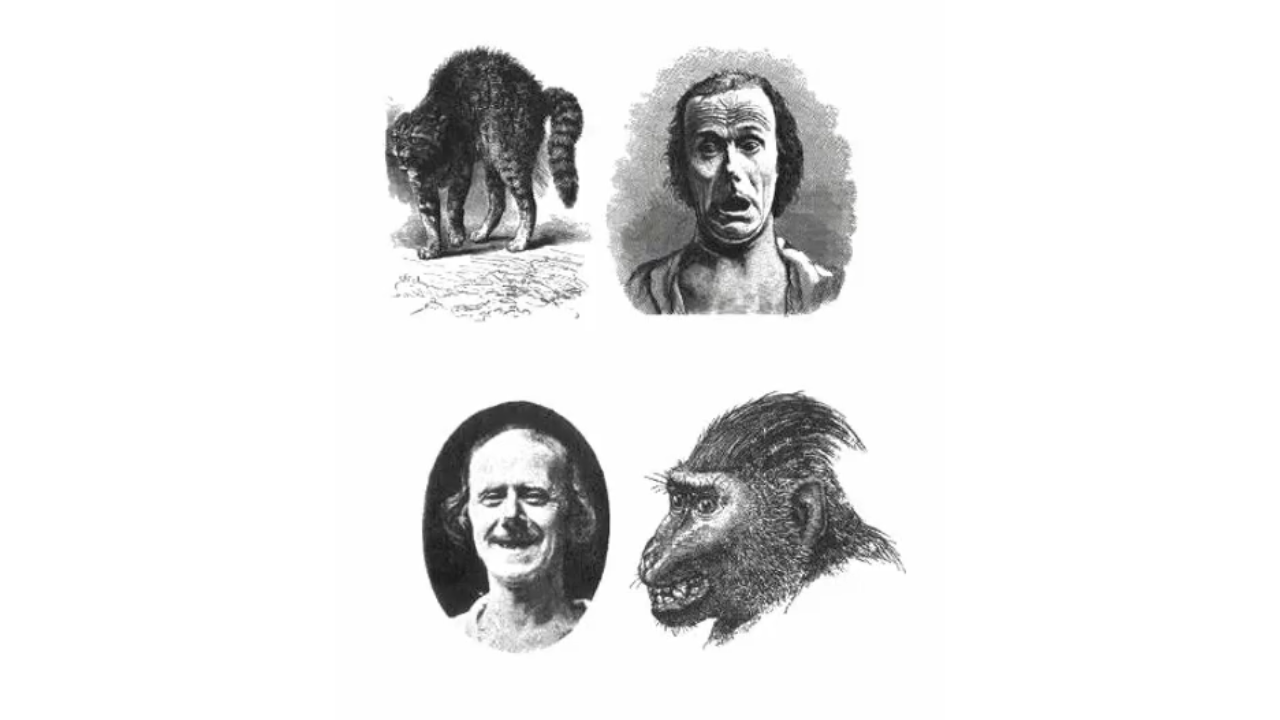 Facciamo pace? Conflitti e strategie per risolverli nei primati 