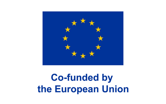 540X339 SPONSOR Co-founded by EU