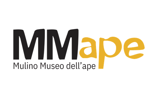 540X339 SPONSOR MMAPE