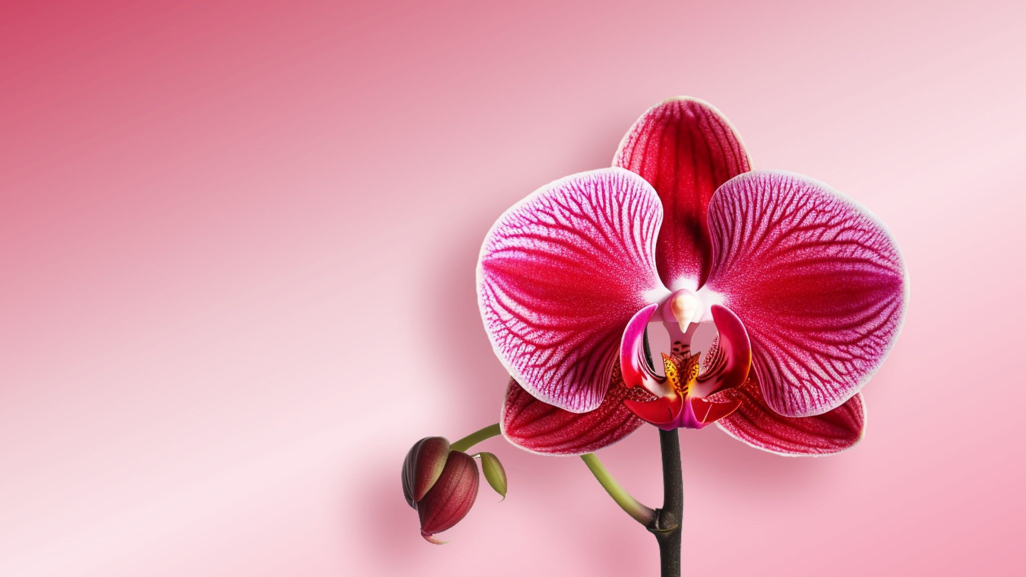 San Valentino - Palazzo delel Albere