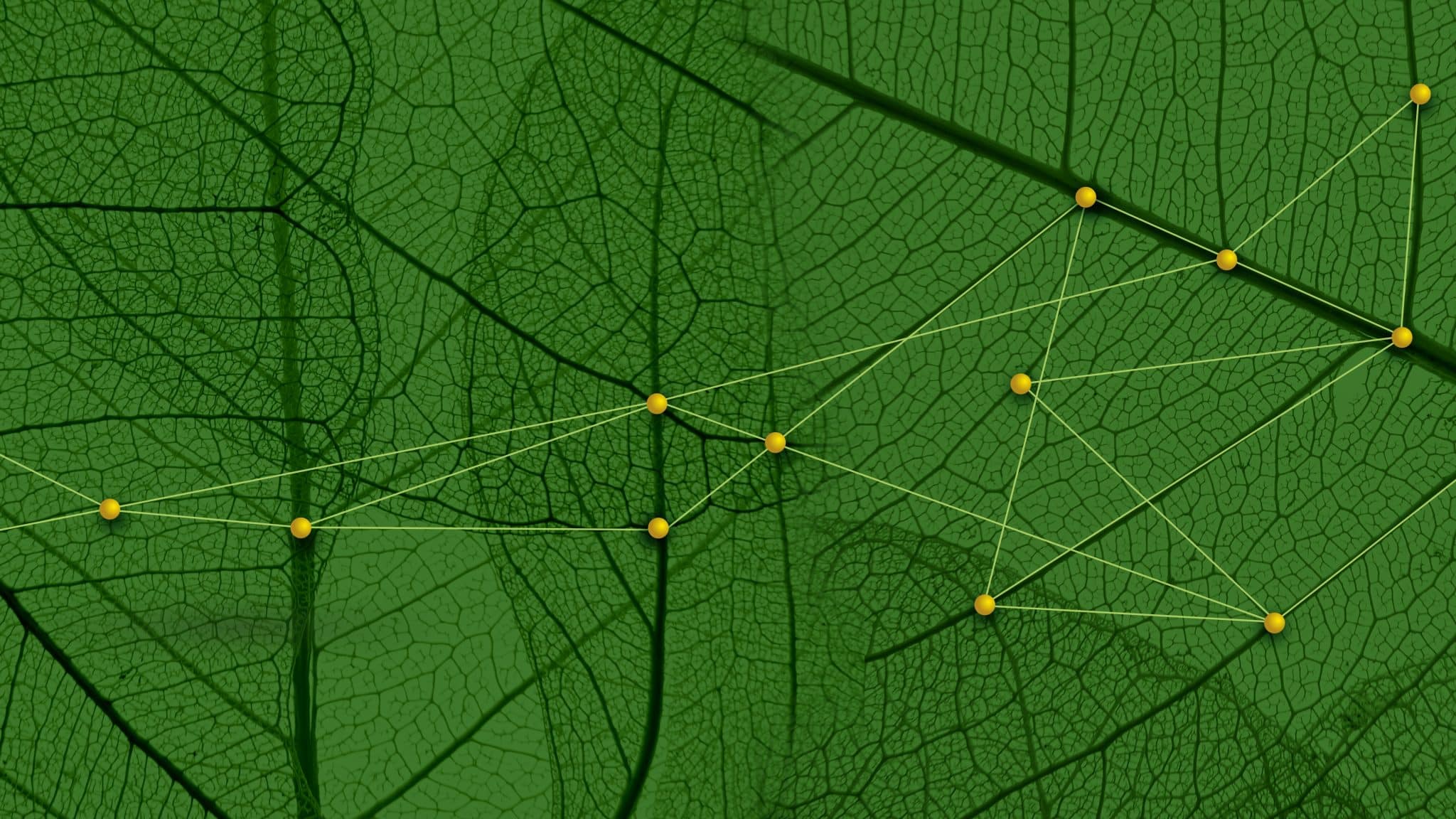 02 16-9 pulita - EuBiReCo