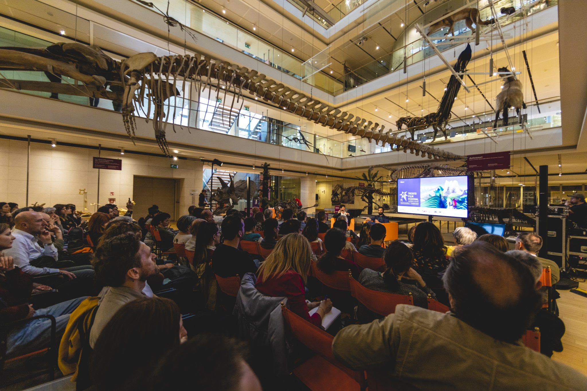 Trento Film Festival