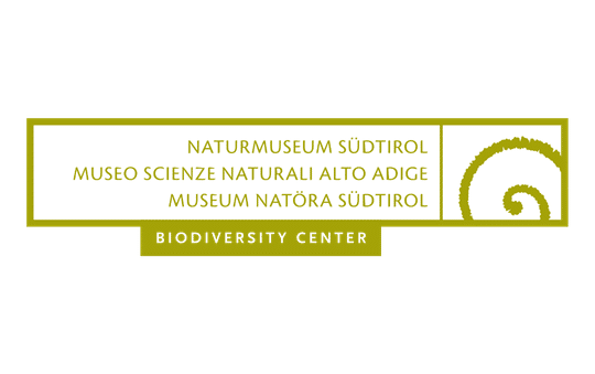 Copia di 540X339 SPONSOR - 2026-03-27T175340.757