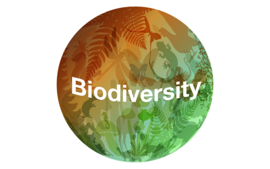 Copia di 540X339 SPONSOR - 2026-03-31T134037.215