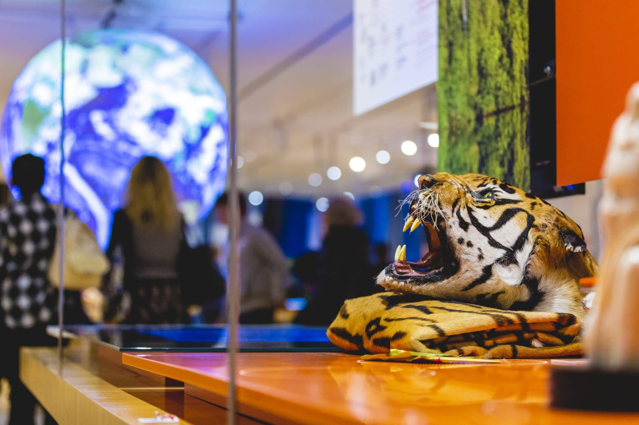 Giornata della Terra