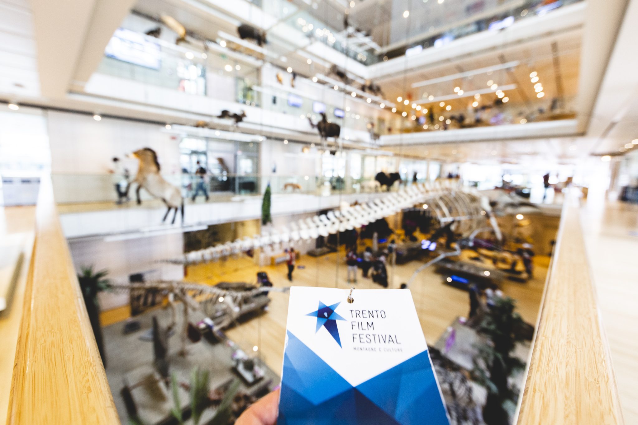 Trento Film Festival