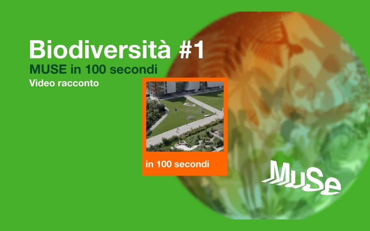 Biodiversità