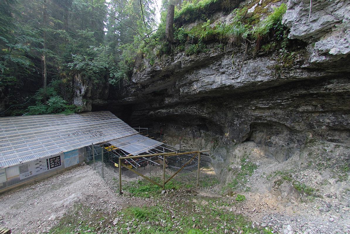 Stambecchi e cambiamento climatico