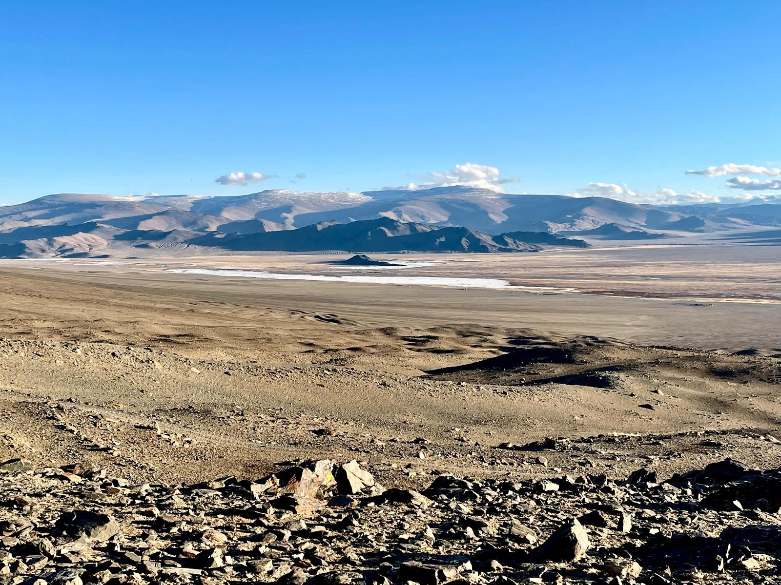 Mongolia Snow Leopard