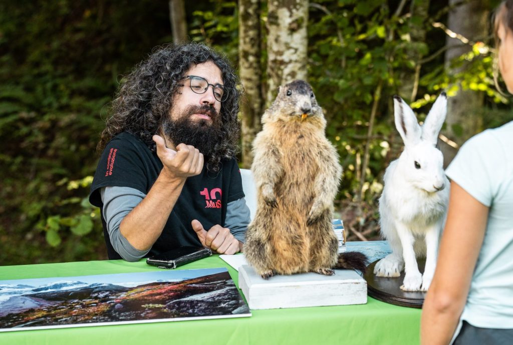 I suoni delle dolomiti