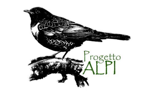 540x338 Progetto Alpi