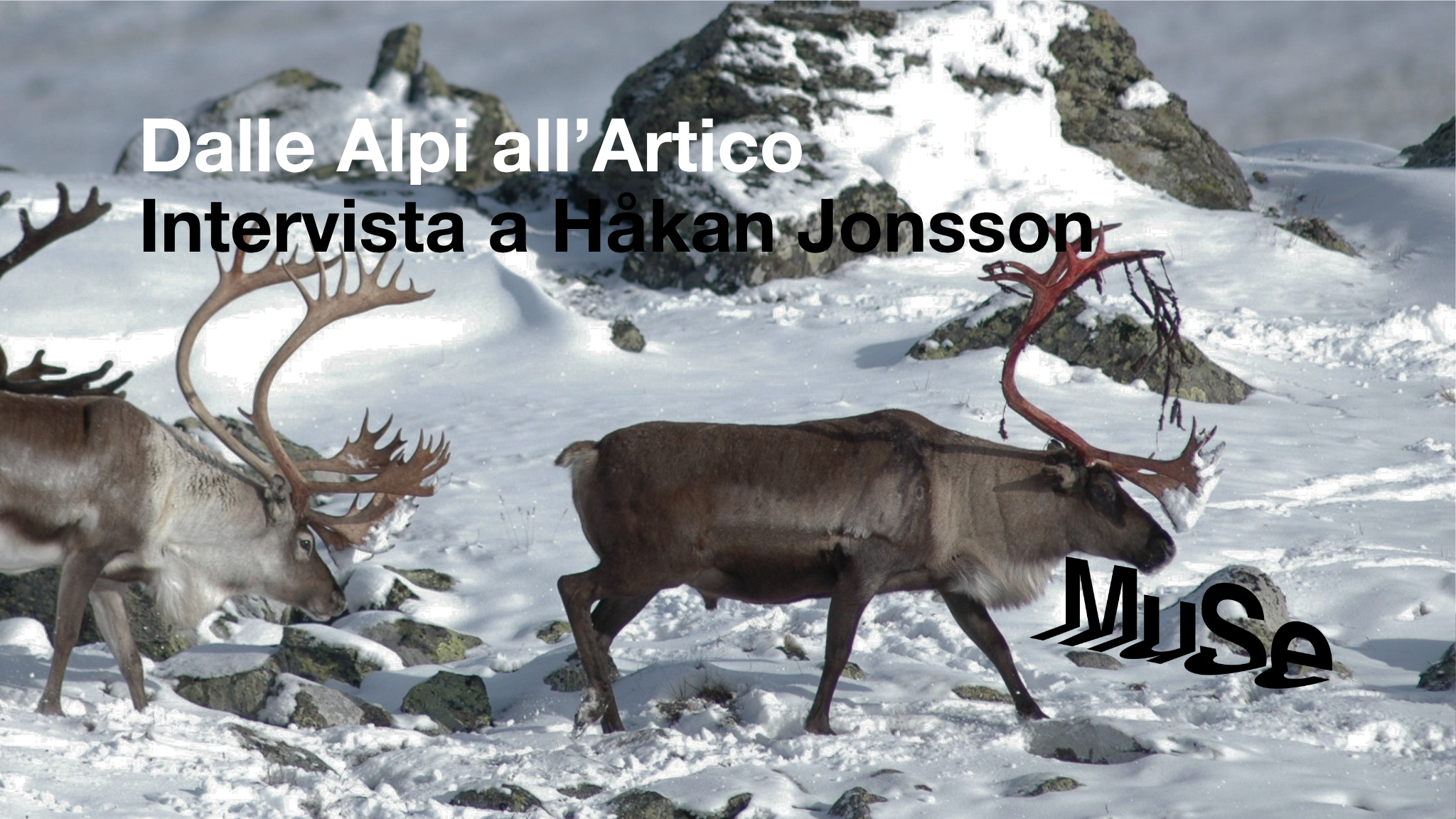 Dalle Alpi all'Artico - Intervista a Håkan Jonsson