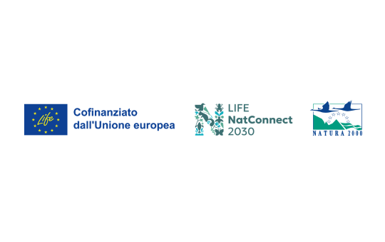 Copia di 540X339 SPONSOR (2)