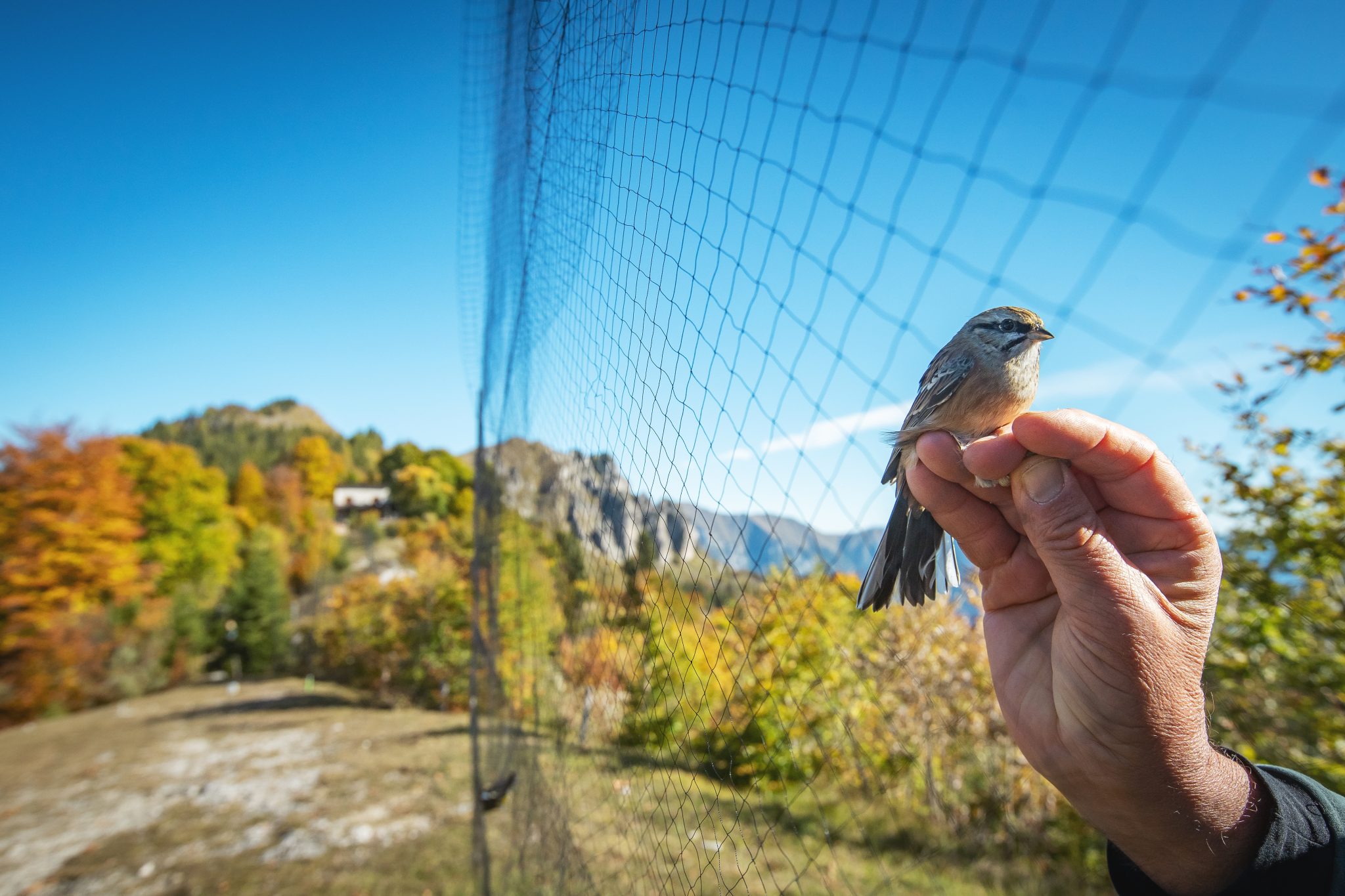 Happy Bird-day!