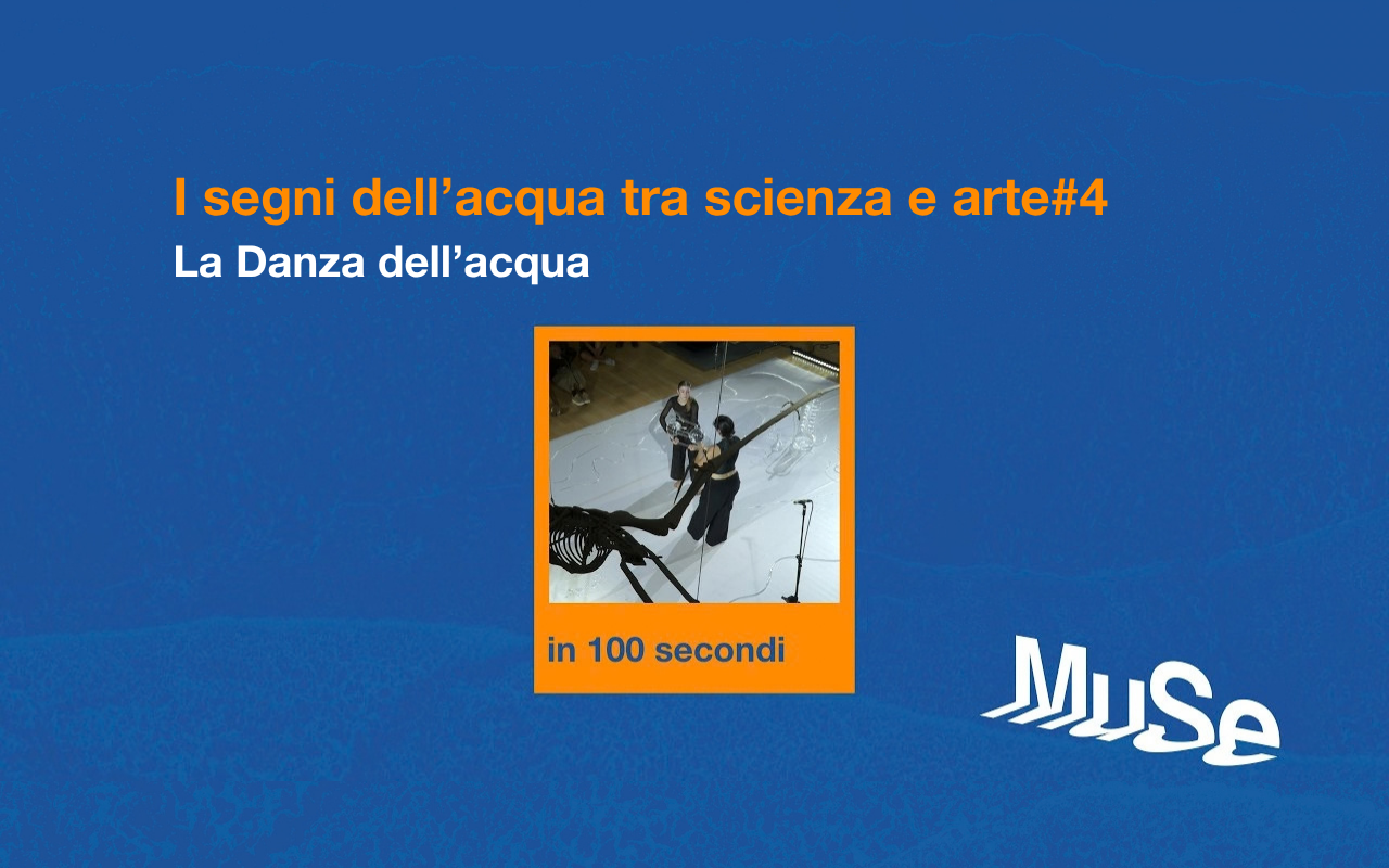 I segni dell'acqua tra  scienza e arte#4