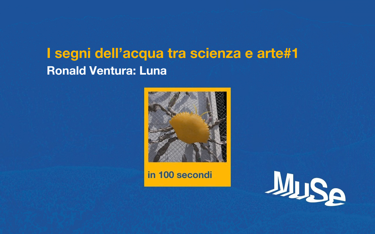 I segni dell'acqua tra  scienza e arte#1