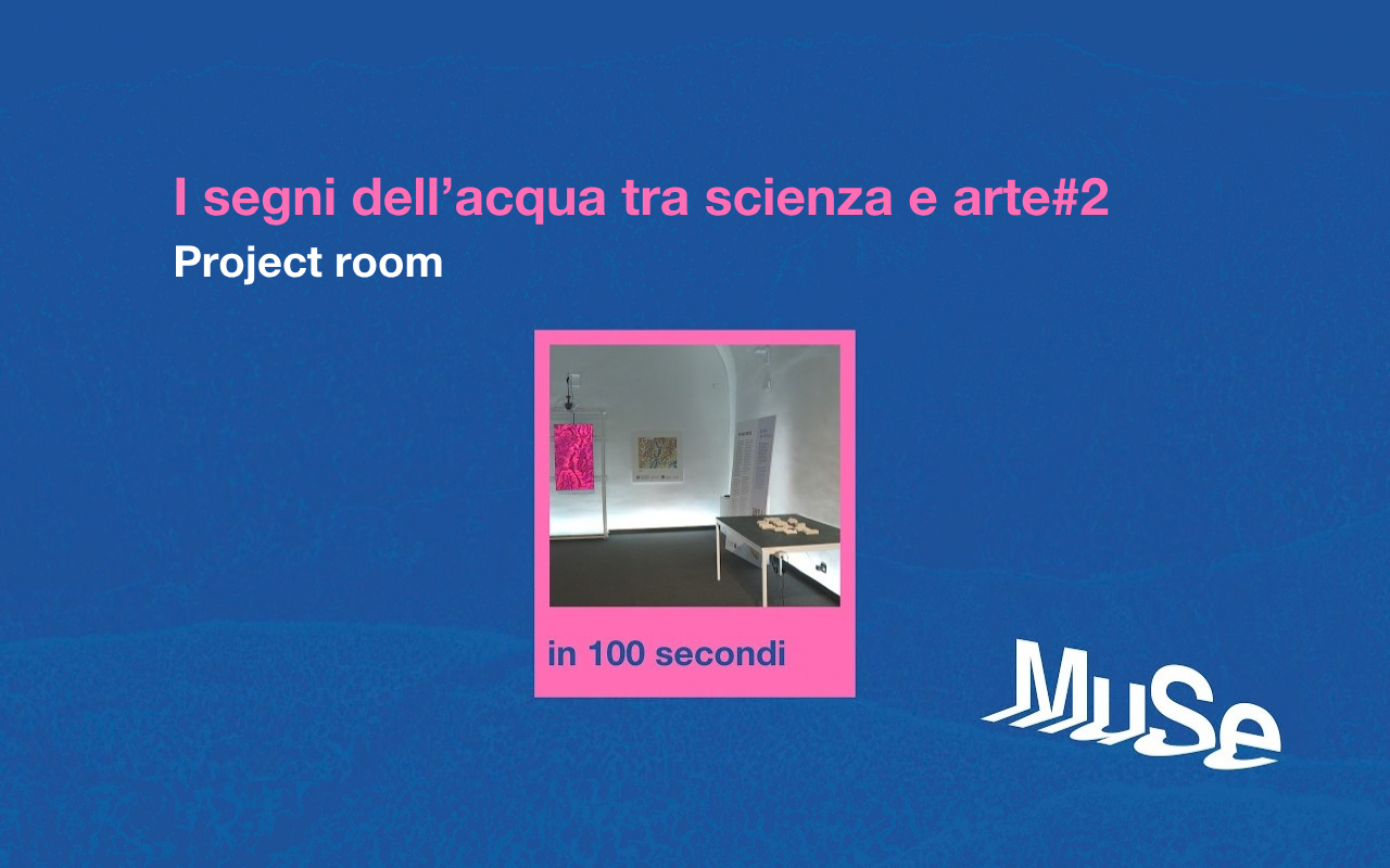 I segni dell'acqua tra  scienza e arte#2